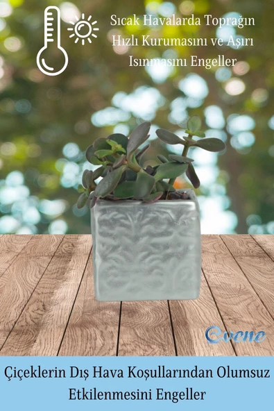 Evene Saksı Dekoratif Saksı Kaktüs Saksısı Sukulent Saksısı Küçük Saksı Model 45 Gümüş Saksı - Resim 4