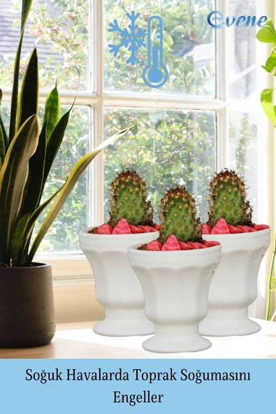 Evene Saksı Dekoratif Saksı Kaktüs Saksısı Sukulent Saksısı Küçük Saksı Model 38 Beyaz Saksı - Resim 5