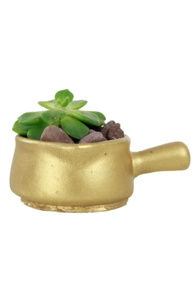 Evene Mini Çiçek Saksı Küçük Sukulent Altın Kaktüs Saksısı Tava Model ürün görseli 1