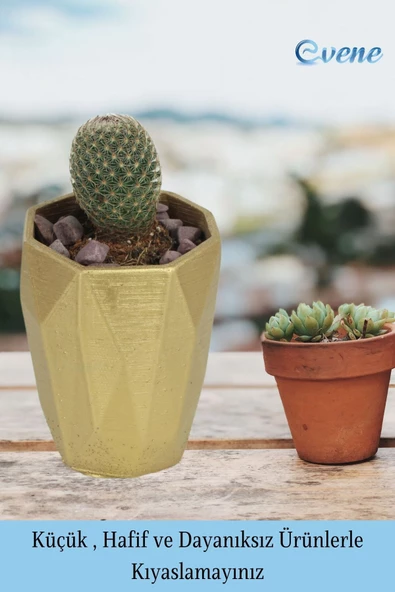 Evene Saksı Dekoratif Saksı Kaktüs Saksısı Sukulent Saksısı Küçük Saksı Model 36 Gold Saksı - Resim 3