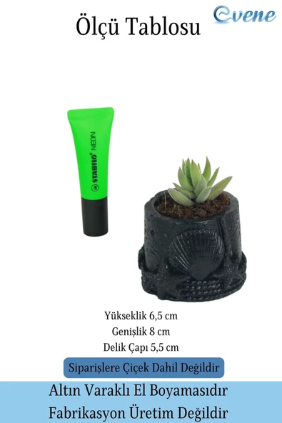 Evene Saksı Dekoratif Saksı Kaktüs Saksısı Sukulent Saksısı Küçük Saksı Model 5 Siyah Saksı - 2