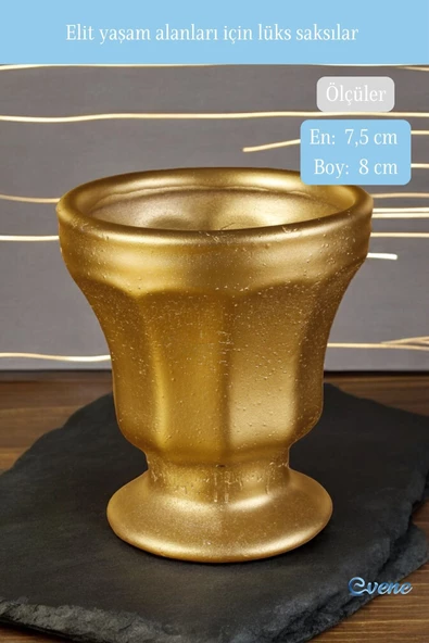 Evene Saksı Dekoratif Saksı Kaktüs Saksısı Sukulent Saksısı Küçük Saksı Model 38 Altın Saksı - Resim 2