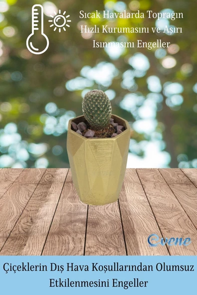 Evene Saksı Dekoratif Saksı Kaktüs Saksısı Sukulent Saksısı Küçük Saksı Model 36 Gold Saksı - Resim 4