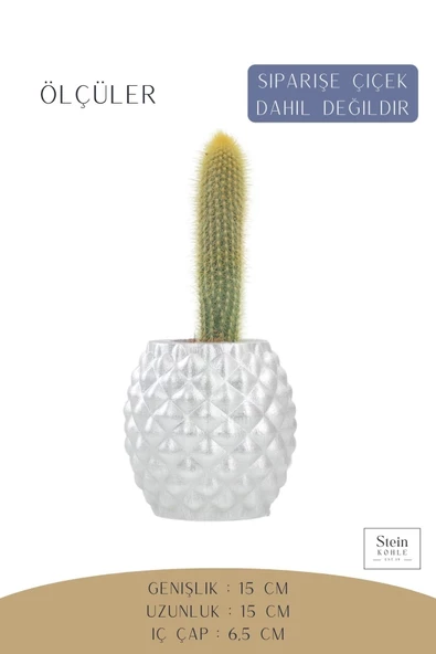 Stein Kohle Çiçek Saksısı Büyük Boy 1 Adet Gümüş Renk Uygulamalı Ananas Model - 2