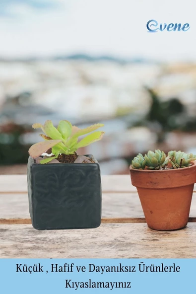 Evene Saksı Dekoratif Saksı Kaktüs Saksısı Sukulent Saksısı Küçük Saksı Model 45 Siyah Saksı - Resim 3