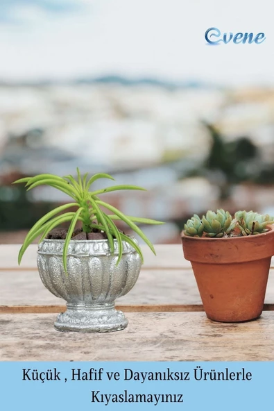 Evene Mini Çiçek Saksı Küçük Sukulent Gümüş Kaktüs Saksısı Antika Vazo Model - Resim 3