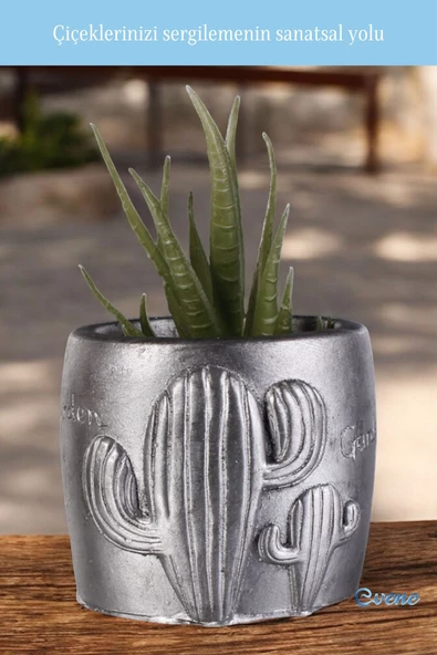 Evene Saksı Dekoratif Saksı Kaktüs Saksısı Sukulent Saksısı Küçük Saksı Model 21 Gümüş Eskitme Saksı - Resim 3