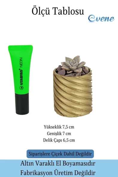 Evene Saksı Dekoratif Saksı Kaktüs Saksısı Sukulent Saksısı Küçük Saksı Model 37 Gold Saksı - Resim 2
