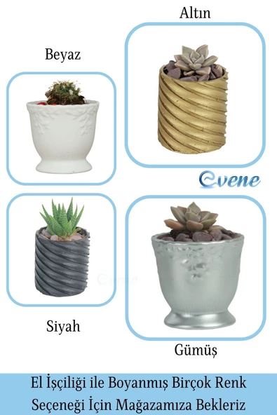 Evene Saksı Dekoratif Saksı Kaktüs Saksısı Sukulent Saksısı Küçük Saksı Model 32 Beyaz Saksı - Resim 7