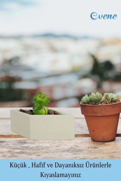 Evene Mini Çiçek Saksı Küçük Sukulent Beyaz Kaktüs Saksısı Dörtgen Yatay Model - Resim 3