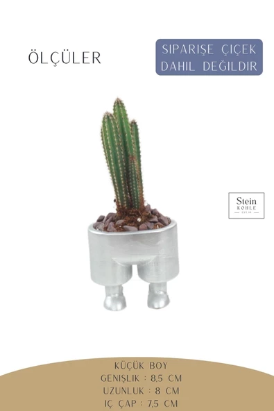 Stein Kohle Çiçek Saksısı Dekoratif Kaktüs Saksı 1 Adet Gümüş Renk Uygulamalı Pantolon Model - 2