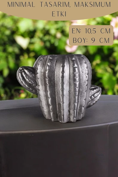 Stein Kohle Dekoratif Saksı Minik Kaktüs Saksısı Gümüş Eskitme Renk 1 Adet Kaktüs Model - Resim 2