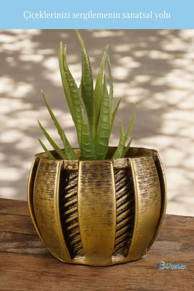 Evene Saksı Dekoratif Saksı Kaktüs Saksısı Sukulent Saksısı Küçük Saksı Model 41 Gold Saksı - Resim 3