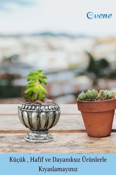 Evene Mini Çiçek Saksı Küçük Sukulent Gümüş Eskitme Kaktüs Saksısı Antika Model - 3