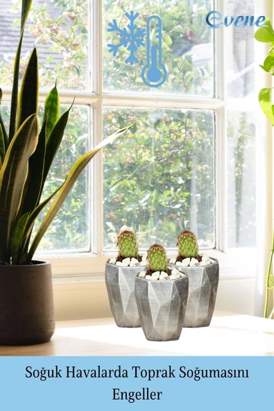 Evene Saksı Dekoratif Saksı Kaktüs Saksısı Sukulent Saksısı Küçük Saksı Model 36 Siyah Gümüş Saksı - Resim 5