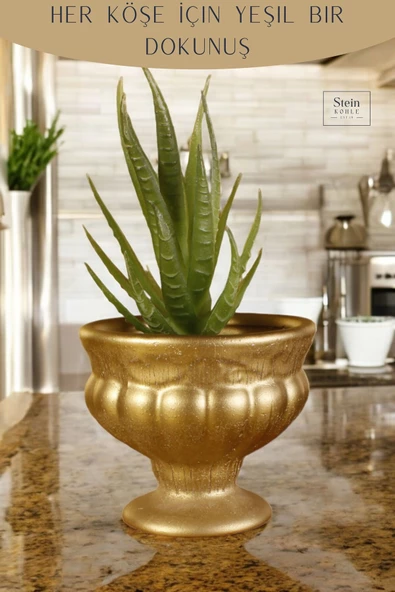 Stein Kohle Dekoratif Saksı Minik Kaktüs Saksısı Altın Renk Model 34 - Resim 4