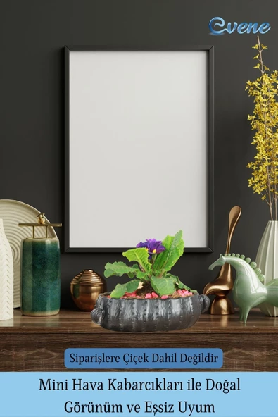 Evene Saksı Büyük Saksı Çiçek Saksısı Büyük Boy Saksı Salon Saksısı Model 3 Siyah Saksı - Resim 6