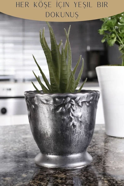 Stein Kohle Dekoratif Saksı Minik Kaktüs Saksısı Gümüş Eskitme Renk Model 32 - Resim 4