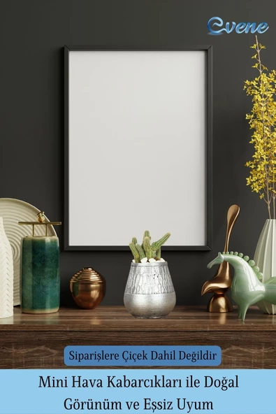 Evene Saksı Dekoratif Saksı Kaktüs Saksısı Sukulent Saksısı Küçük Saksı Model 35 Siyah Gümüş Saksı - Resim 6