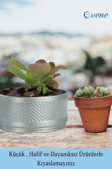 Evene Saksı Dekoratif Saksı Kaktüs Saksısı Sukulent Saksısı Küçük Saksı Model 46 Gümüş Saksı - Resim 3