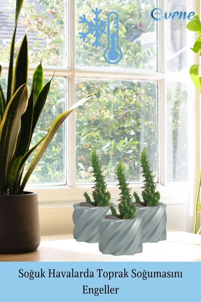 Evene Saksı Dekoratif Saksı Kaktüs Saksısı Sukulent Saksısı Küçük Saksı Model 9 Gümüş Saksı - Resim 5