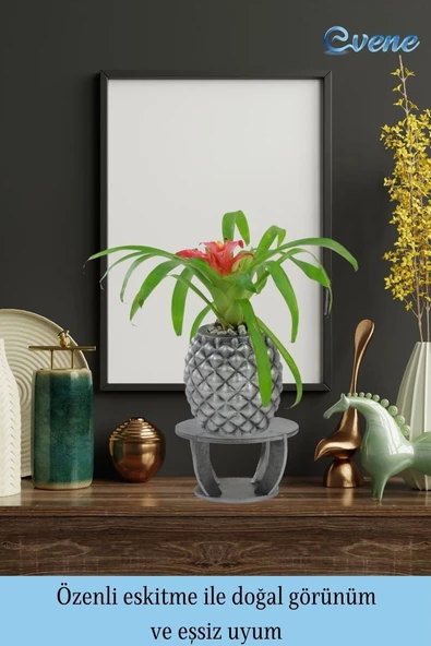 Evene Ahşap Ayaklı Beton Saksı Büyük Boy 1 Adet Gümüş Varak Boyalı Eskitmeli Ananas Model - Resim 8