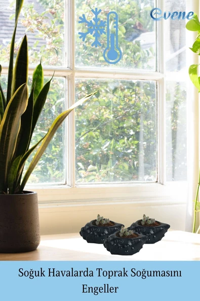 Evene Saksı Dekoratif Saksı Kaktüs Saksısı Sukulent Saksısı Küçük Saksı Model 18 Siyah Saksı - Resim 5