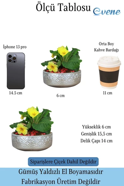 Evene Saksı Büyük Saksı Çiçek Saksısı Büyük Boy Saksı Salon Saksısı Model 2 Gümüş Saksı - Resim 2