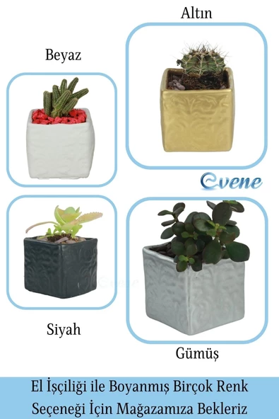 Evene Saksı Dekoratif Saksı Kaktüs Saksısı Sukulent Saksısı Küçük Saksı Model 45 Beyaz Saksı - Resim 7