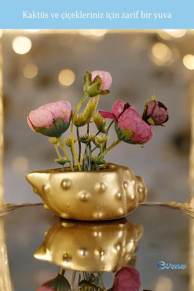 Evene Saksı Dekoratif Saksı Kaktüs Saksısı Sukulent Saksısı Küçük Saksı Model 18 Altın Saksı - Resim 4