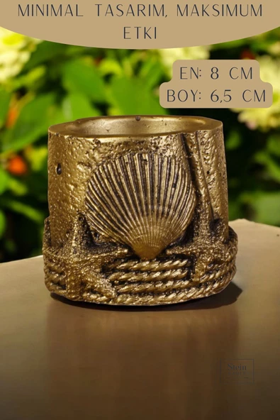 Stein Kohle Dekoratif Saksı Minik Kaktüs Saksısı Altın Eskitme Renk 1 Adet Deniz Ürünlü Model - Resim 2