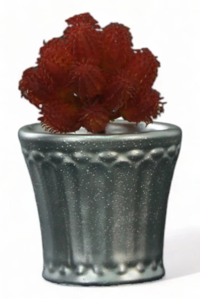 Evene Saksı Dekoratif Saksı Kaktüs Saksısı Sukulent Saksısı Küçük Saksı Model 40 Gümüş Saksı ürün görseli 1