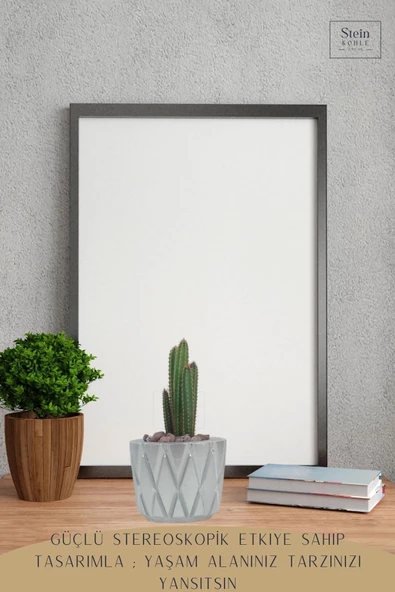 Stein Kohle Çiçek Saksısı Dekoratif Kaktüs Saksı 1 Adet Gümüş Renk Uygulamalı Baklava Model - Resim 4