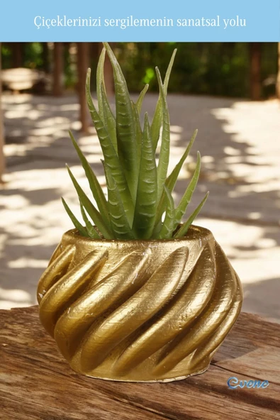 Evene Mini Çiçek Saksı Küçük Sukulent Altın Kaktüs Saksısı Kalın Çizgili Spiral Model - Resim 3