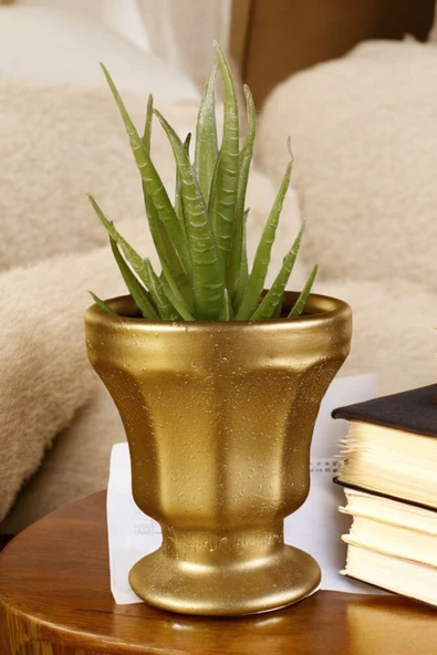 Stein Kohle Dekoratif Saksı Minik Kaktüs Saksısı Altın Renk Model 38 ürün görseli 1