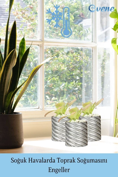 Evene Saksı Dekoratif Saksı Kaktüs Saksısı Sukulent Saksısı Küçük Saksı Model 37 Siyah Gümüş Saksı - Resim 5