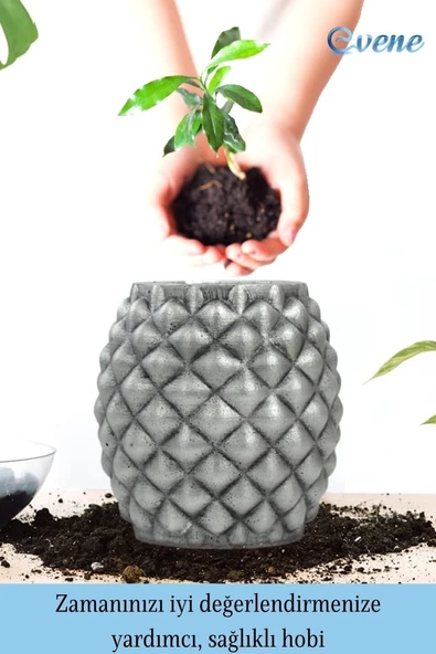 Evene Ahşap Ayaklı Beton Saksı Büyük Boy 1 Adet Gümüş Varak Boyalı Eskitmeli Ananas Model - Resim 4