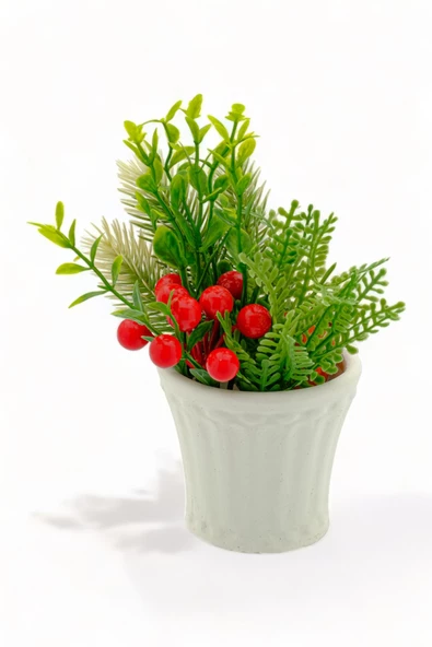 Evene Saksı Dekoratif Saksı Kaktüs Saksısı Sukulent Saksısı Küçük Saksı Model 40 Beyaz Saksı ürün görseli 1