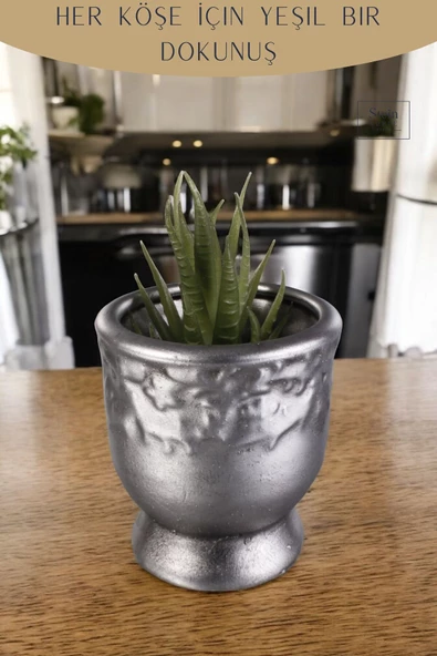 Stein Kohle Dekoratif Saksı Minik Kaktüs Saksısı Gümüş Eskitme Renk Model 31 - Resim 4