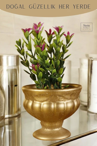 Stein Kohle Dekoratif Saksı Minik Kaktüs Saksısı Altın Renk Model 34 - Resim 5