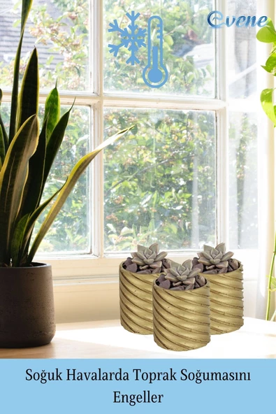 Evene Saksı Dekoratif Saksı Kaktüs Saksısı Sukulent Saksısı Küçük Saksı Model 37 Gold Saksı - Resim 5