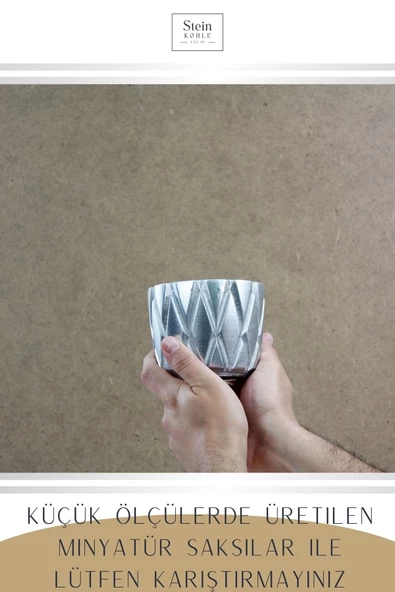 Stein Kohle Çiçek Saksısı Dekoratif Kaktüs Saksı 1 Adet Gümüş Renk Uygulamalı Baklava Model - Resim 3