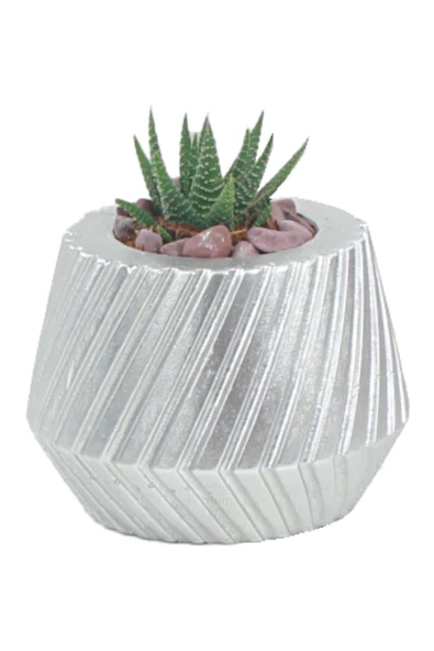 Stein Kohle Çiçek Saksısı Dekoratif Kaktüs Saksı 1 Adet Gümüş Renk Uygulamalı Dişli Model ürün görseli 1