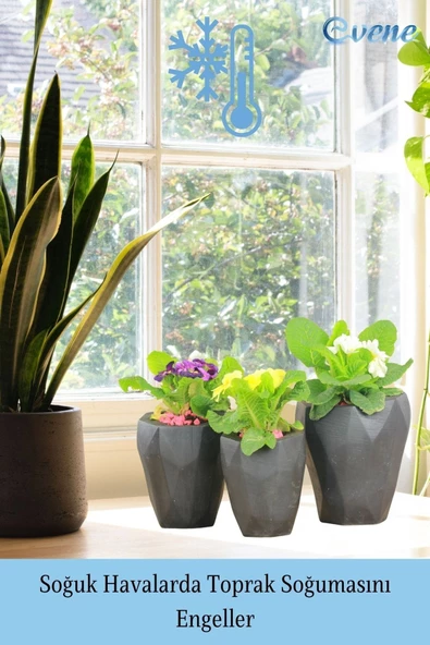 Evene Saksı Büyük Saksı Çiçek Saksısı Büyük Boy Saksı Salon Saksısı Model 9 Siyah Saksı - Resim 5