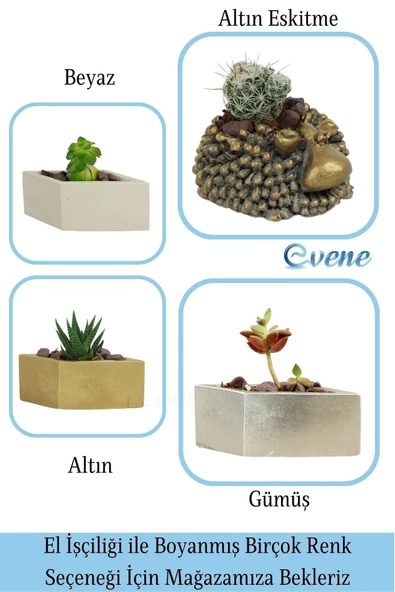 Evene Mini Çiçek Saksı Küçük Sukulent Beyaz Kaktüs Saksısı Dörtgen Yatay Model - Resim 7