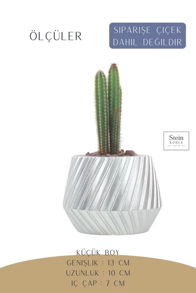 Stein Kohle Çiçek Saksısı Dekoratif Kaktüs Saksı 1 Adet Gümüş Renk Uygulamalı Dişli Model - Resim 2