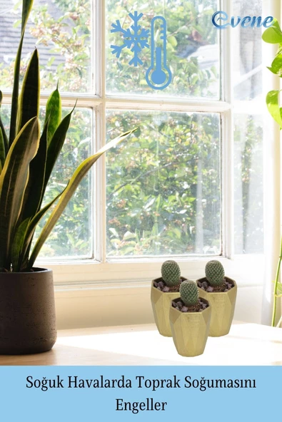 Evene Saksı Dekoratif Saksı Kaktüs Saksısı Sukulent Saksısı Küçük Saksı Model 36 Gold Saksı - Resim 5