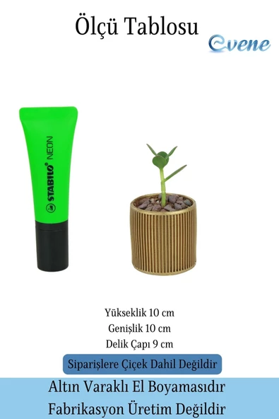 Evene Saksı Dekoratif Saksı Kaktüs Saksısı Sukulent Saksısı Küçük Saksı Model 20 Gold Saksı - 2