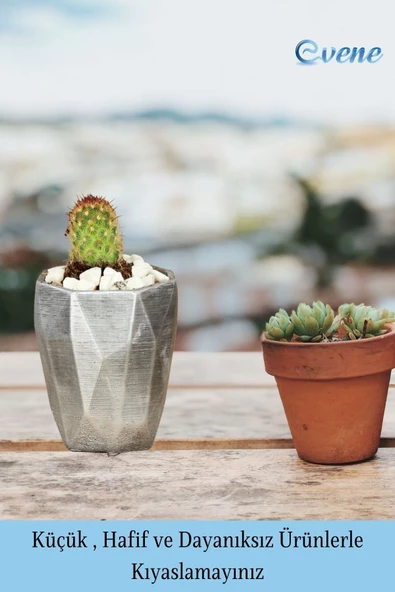 Evene Saksı Dekoratif Saksı Kaktüs Saksısı Sukulent Saksısı Küçük Saksı Model 36 Siyah Gümüş Saksı - Resim 3