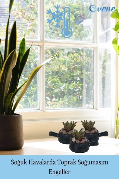 Evene Saksı Dekoratif Saksı Kaktüs Saksısı Sukulent Saksısı Küçük Saksı Model 28 Siyah 3 Lü Saksı - Resim 5